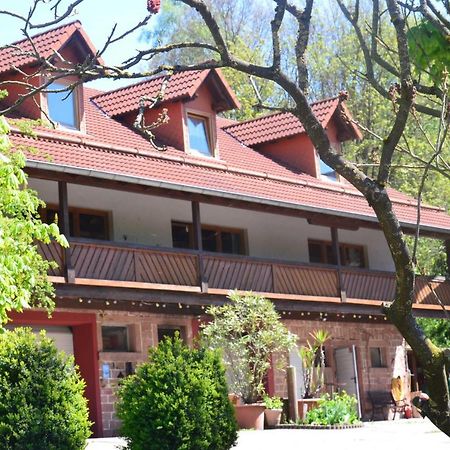 בירפלדןאוברזנט Ferienwohnungen Hof Heiderich מראה חיצוני תמונה